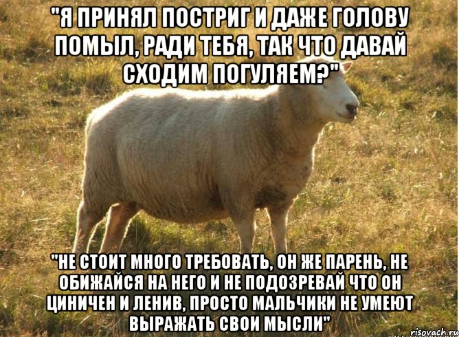 "Я принял постриг и даже голову помыл, ради тебя, так что давай сходим погуляем?" "не стоит много требовать, он же парень, не обижайся на него и не подозревай что он циничен и ленив, просто мальчики не умеют выражать свои мысли", Мем Типичная овца