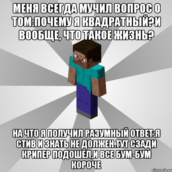 меня всегда мучил вопрос о том:почему я квадратный?И вообще, что такое жизнь? на что я получил разумный ответ:Я Стив и знать не должен.Тут сзади крипер подошел,и все бум-бум короче, Мем Типичный игрок Minecraft