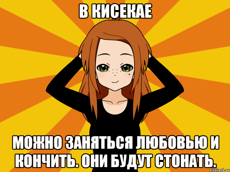 В кисекае Mожно заняться любовью и кончить. Они будут стонать., Мем Типичный игрок кисекае