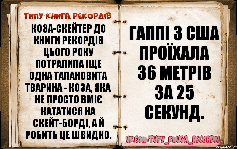 КОЗА-СКЕЙТЕР До книги рекордів цього року потрапила іще одна талановита тварина - коза, яка не просто вміє кататися на скейт-борді, а й робить це швидко. Гаппі з США проїхала 36 метрів за 25 секунд., Комикс  Типу книга рекордв