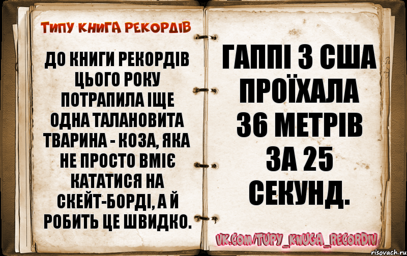 До книги рекордів цього року потрапила іще одна талановита тварина - коза, яка не просто вміє кататися на скейт-борді, а й робить це швидко. Гаппі з США проїхала 36 метрів за 25 секунд.