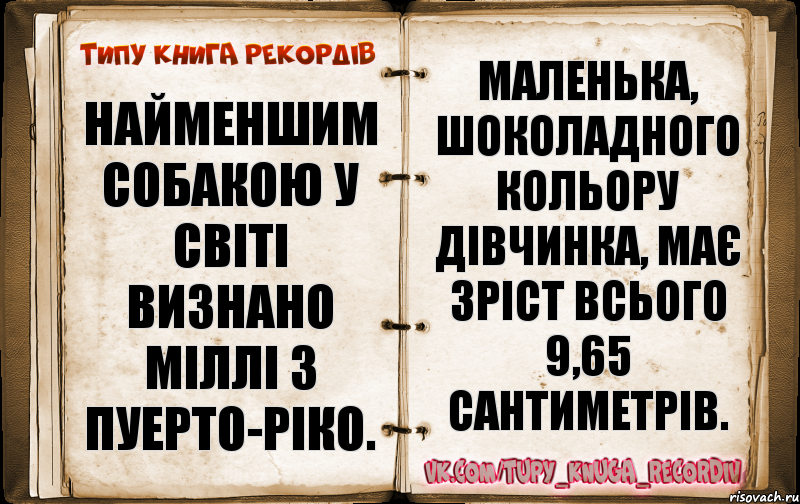 Найменшим собакою у світі визнано Міллі з Пуерто-Ріко. Маленька, шоколадного кольору дівчинка, має зріст всього 9,65 сантиметрів., Комикс  Типу книга рекордв