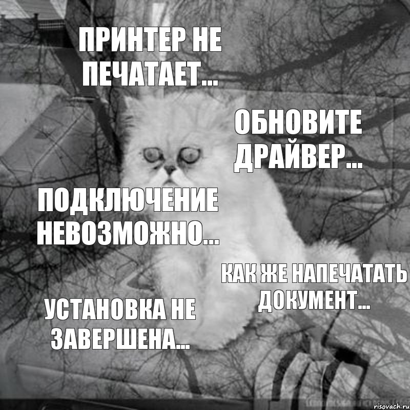 принтер не печатает... обновите драйвер... подключение невозможно... как же напечатать документ... установка не завершена..., Комикс  кот безысходность