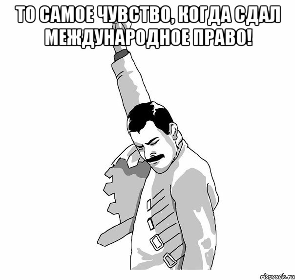 То самое чувство, когда сдал международное право! , Мем   Фрэдди Меркьюри (успех)