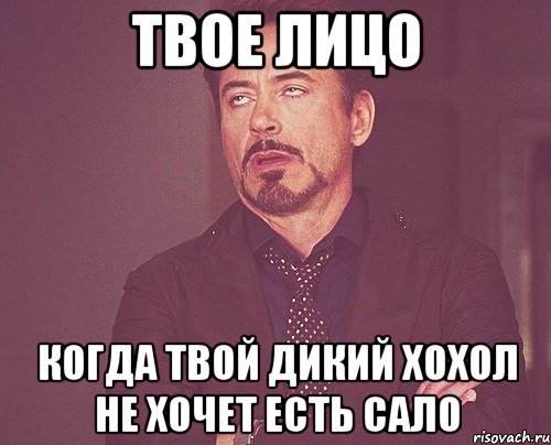 Твое лицо Когда твой дикий хохол не хочет есть сало, Мем твое выражение лица