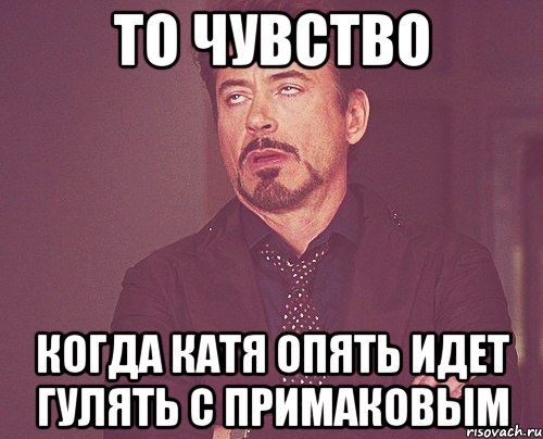 ТО ЧУВСТВО КОГДА КАТЯ ОПЯТЬ ИДЕТ ГУЛЯТЬ С ПРИМАКОВЫМ, Мем твое выражение лица