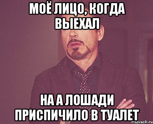 Моё лицо, когда выехал На А лошади приспичило в туалет, Мем твое выражение лица