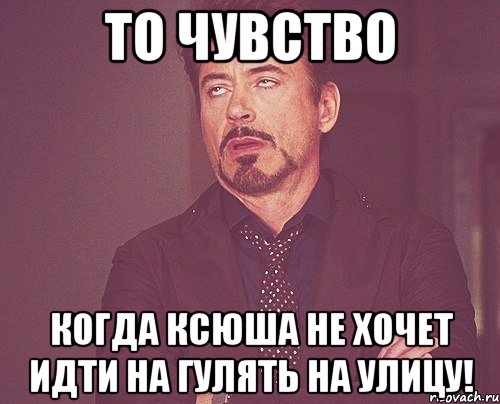 то чувство когда КСЮША не хочет идти на гулять на улицу!, Мем твое выражение лица