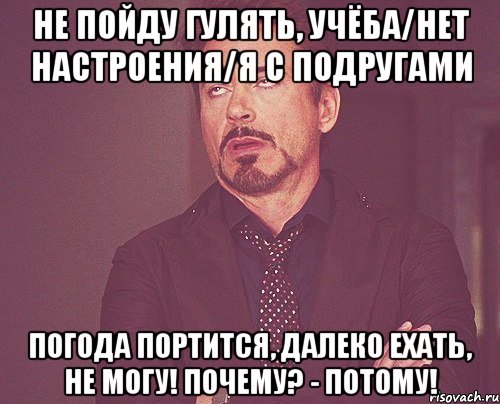 Не пойду гулять, учёба/нет настроения/я с подругами Погода портится, далеко ехать, не могу! Почему? - ПОТОМУ!, Мем твое выражение лица