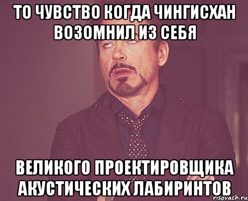 То чувство когда чингисхан возомнил из себя великого проектировщика акустических лабиринтов, Мем твое выражение лица