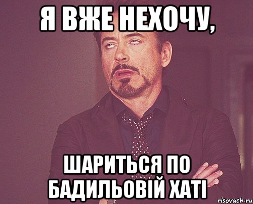 Я ВЖЕ НЕХОЧУ, ШАРИТЬСЯ ПО БАДИЛЬОВІЙ ХАТІ, Мем твое выражение лица