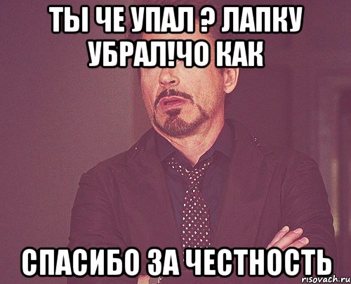 Ты че упал ? Лапку убрал!Чо как Спасибо за честность, Мем твое выражение лица