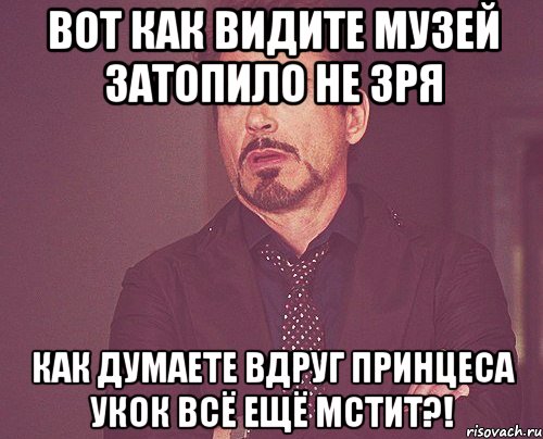 Вот как видите Музей затопило не зря как думаете вдруг принцеса Укок всё ещё мстит?!, Мем твое выражение лица