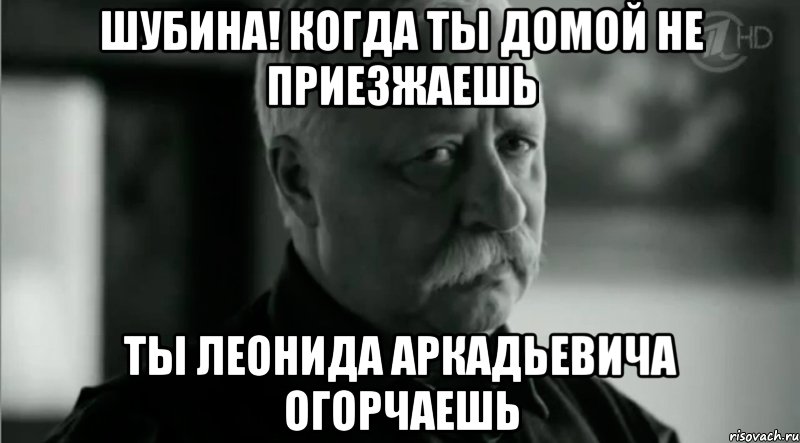 Шубина! Когда ты домой не приезжаешь Ты Леонида Аркадьевича огорчаешь, Мем Не расстраивай Леонида Аркадьевича