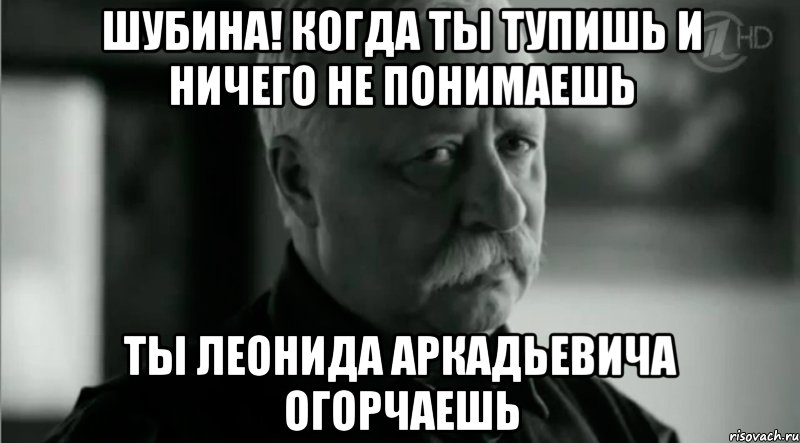 Шубина! Когда ты тупишь и ничего не понимаешь Ты Леонида Аркадьевича огорчаешь, Мем Не расстраивай Леонида Аркадьевича