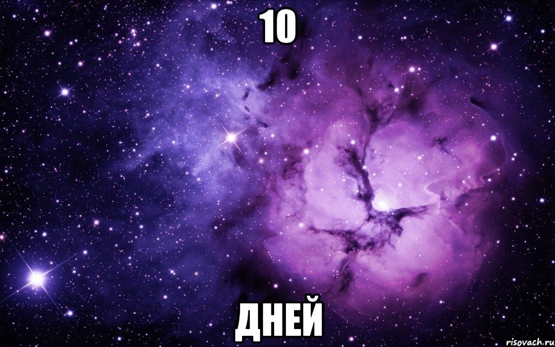 10 ДНЕЙ