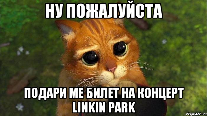 Ну пожалуйста Подари ме билет на концерт linkin park, Мем кот из шрека