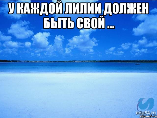 у каждой Лилии должен быть свой ... , Мем у каждой Ксюши должен быть свой 