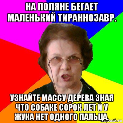 На поляне бегает маленький тираннозавр. Узнайте массу дерева зная что собаке сорок лет и у жука нет одного пальца., Мем Типичная училка