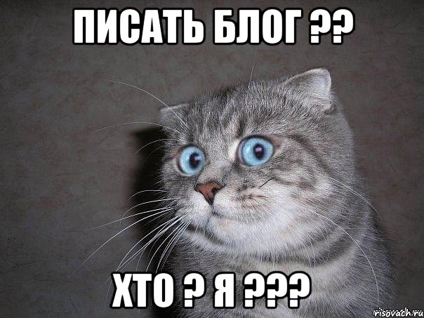 Писать блог ?? Хто ? я ???, Мем  удивлённый кот