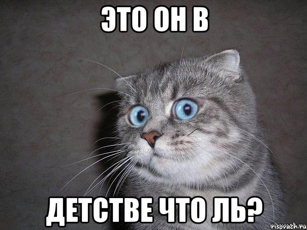 это он в детстве что ль?, Мем  удивлённый кот