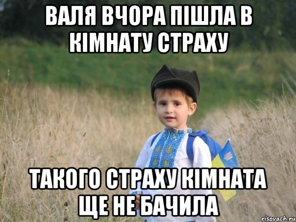 ВАЛЯ ВЧОРА ПІШЛА В КІМНАТУ СТРАХУ ТАКОГО СТРАХУ КІМНАТА ЩЕ НЕ БАЧИЛА, Мем Украина - Единая