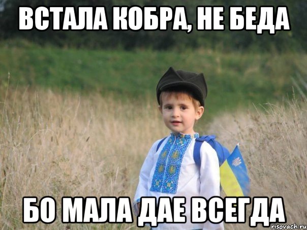 Встала кобра, не беда Бо мала дае всегда