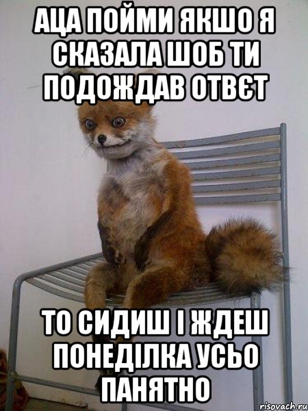 аца пойми якшо я сказала шоб ти подождав отвєт то сидиш і ждеш понеділка усьо панятно, Мем Упоротая лиса