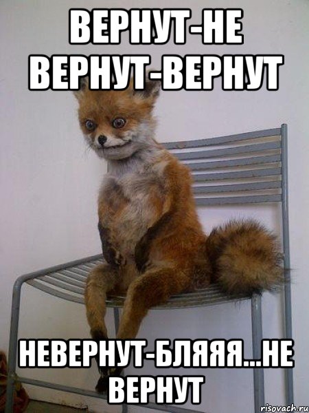 Вернут-не вернут-вернут невернут-бляяя...Не вернут, Мем Упоротая лиса