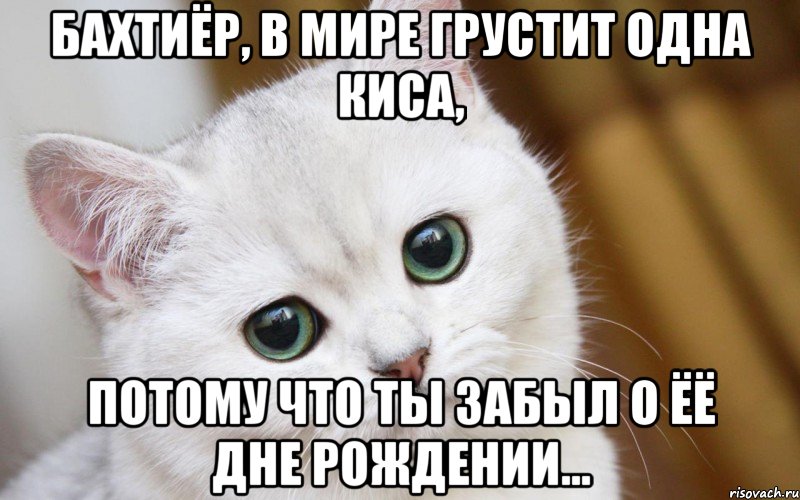 Бахтиёр, в мире грустит одна Киса, потому что ты забыл о ёё дне рождении..., Мем  В мире грустит один котик