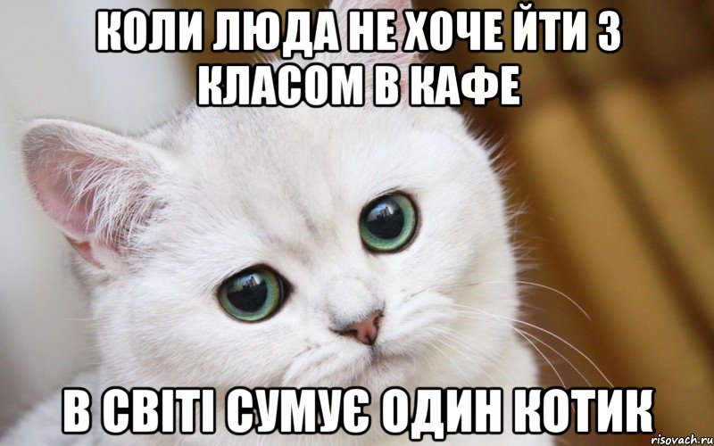 Коли Люда не хоче йти з класом в кафе В світі сумує один котик, Мем  В мире грустит один котик