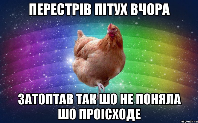 Перестрів пітух вчора Затоптав так шо не поняла шо проісходе, Мем Весела Курка