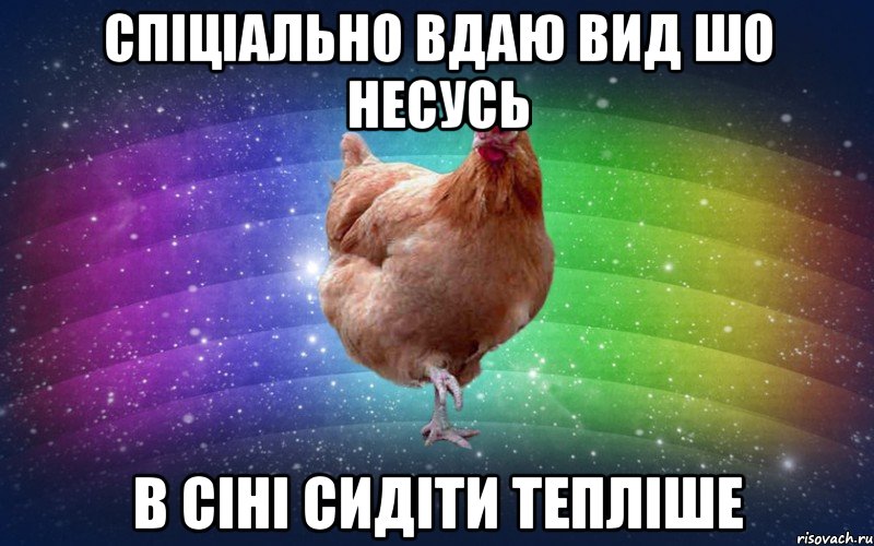 Спіціально вдаю вид шо несусь В сіні сидіти тепліше, Мем Весела Курка