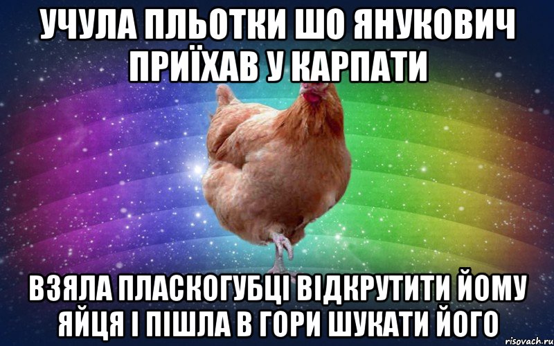 Учула пльотки шо янукович приїхав у карпати взяла пласкогубці відкрутити йому яйця і пішла в гори шукати його, Мем Весела Курка