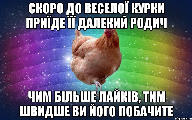 скоро до веселої курки приїде її далекий родич чим більше лайків, тим швидше ви його побачите