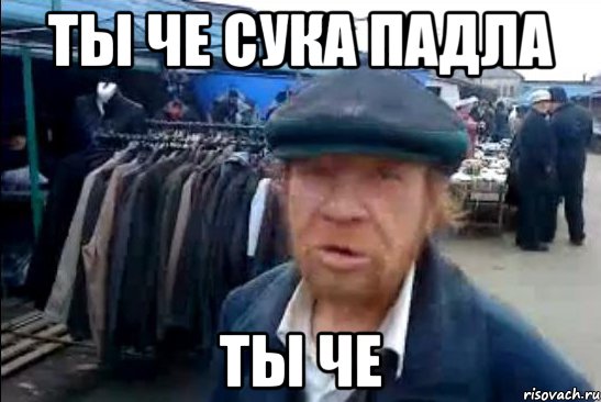 ты че сука падла ты че