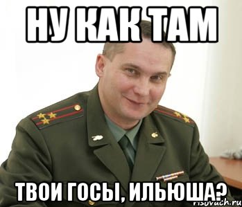 Ну как там твои ГОСЫ, ильюша?, Мем Военком (полковник)