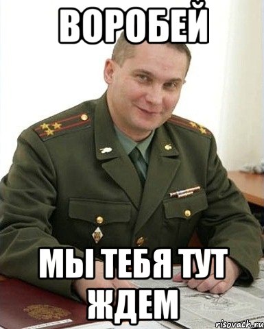 Воробей мы тебя тут ждем