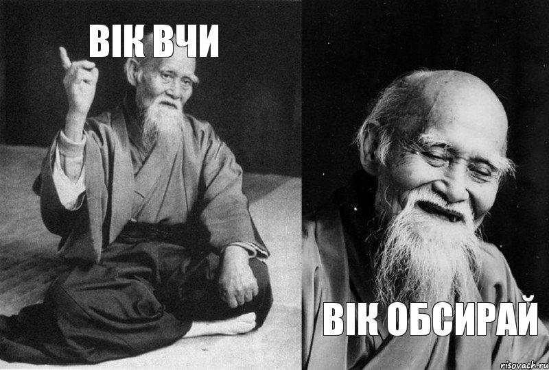 Вік вчи Вік обсирай