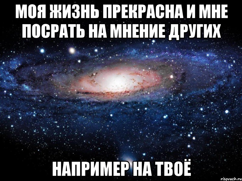 моя жизнь прекрасна и мне посрать на мнение других например на твоё, Мем Вселенная