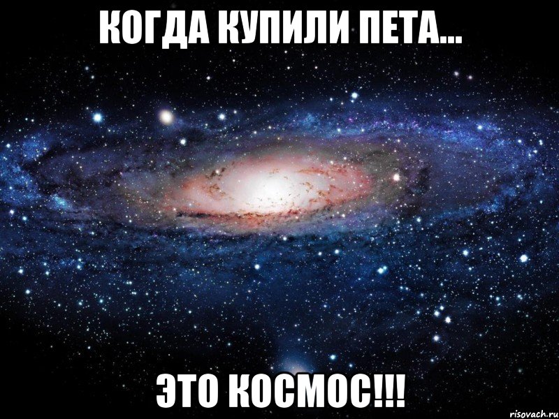 Когда купили пета... Это КОСМОС!!!, Мем Вселенная