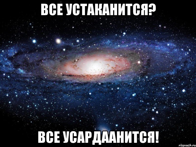 Все устаканится? Все усардаанится!, Мем Вселенная