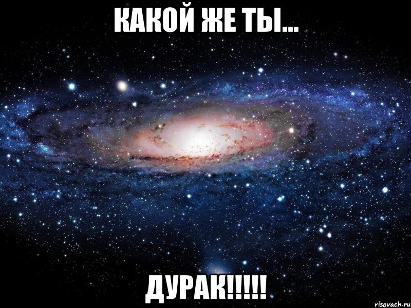 Какой же ты... ДУРАК!!!!!, Мем Вселенная