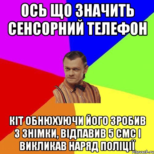 Ось що значить сенсорний телефон Кіт обнюхуючи його зробив 3 знімки, відпавив 5 смс і викликав наряд поліції