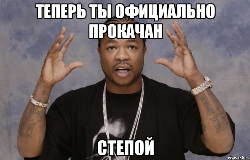 Теперь ты официально прокачан Степой, Мем Xzibit