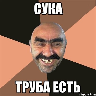 сука труба есть, Мем Я твой дом труба шатал