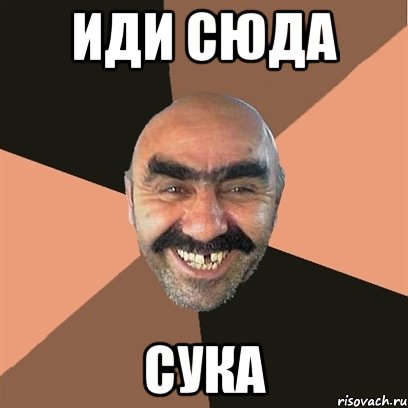 иди сюда сука, Мем Я твой дом труба шатал