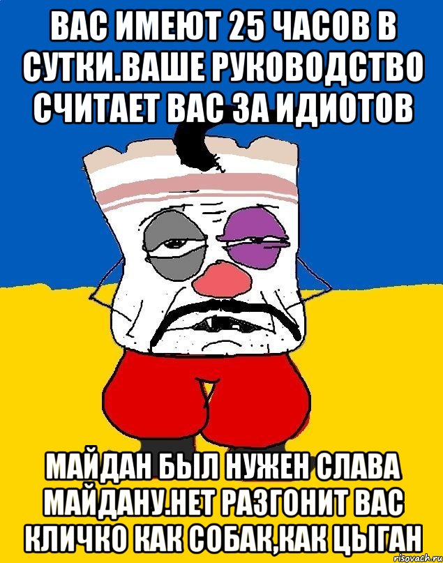 Вас имеют 25 часов в сутки.ваше руководство считает вас за идиотов Майдан был нужен слава майдану.нет разгонит вас кличко как собак,как цыган, Мем Западенец - тухлое сало