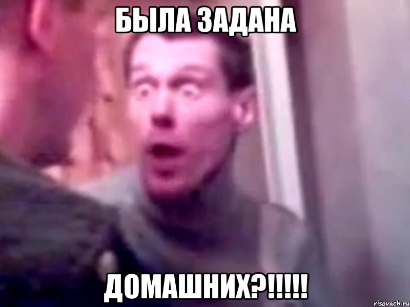 Была задана Домашних?!!!!!, Мем Запили