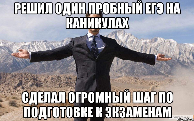 Решил один пробный егэ на каникулах сделал огромный шаг по подготовке к экзаменам, Мем железный человек